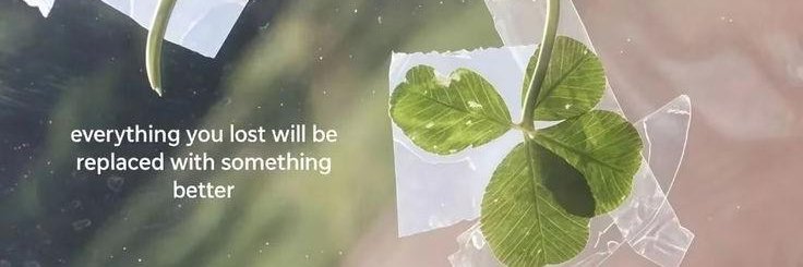 zen banner