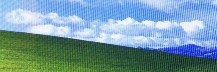 sungchantons's profile banner image