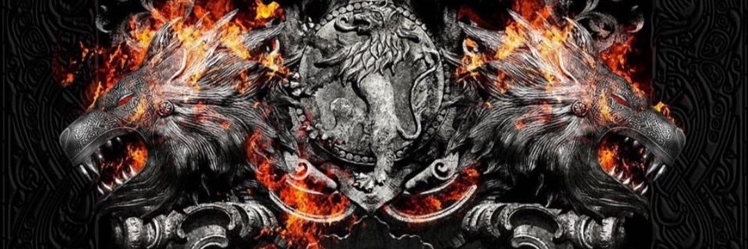 osmar1981's profile banner image