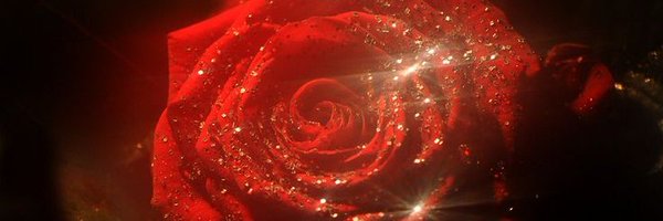 CinnamonWolfff Profile Banner