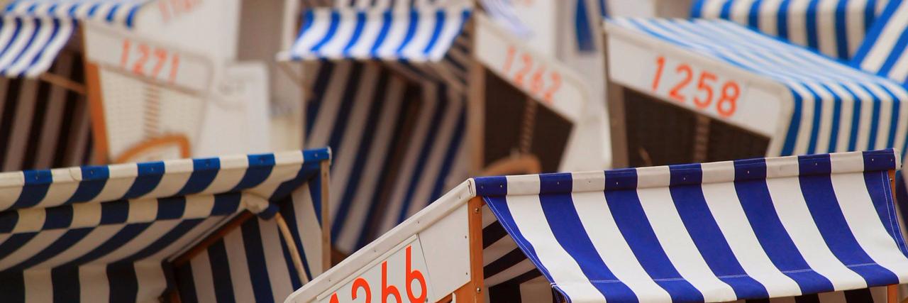 seonaid mcgill banner