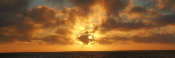 gurubert Profile Banner