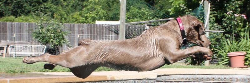 REBECCA HAYES banner