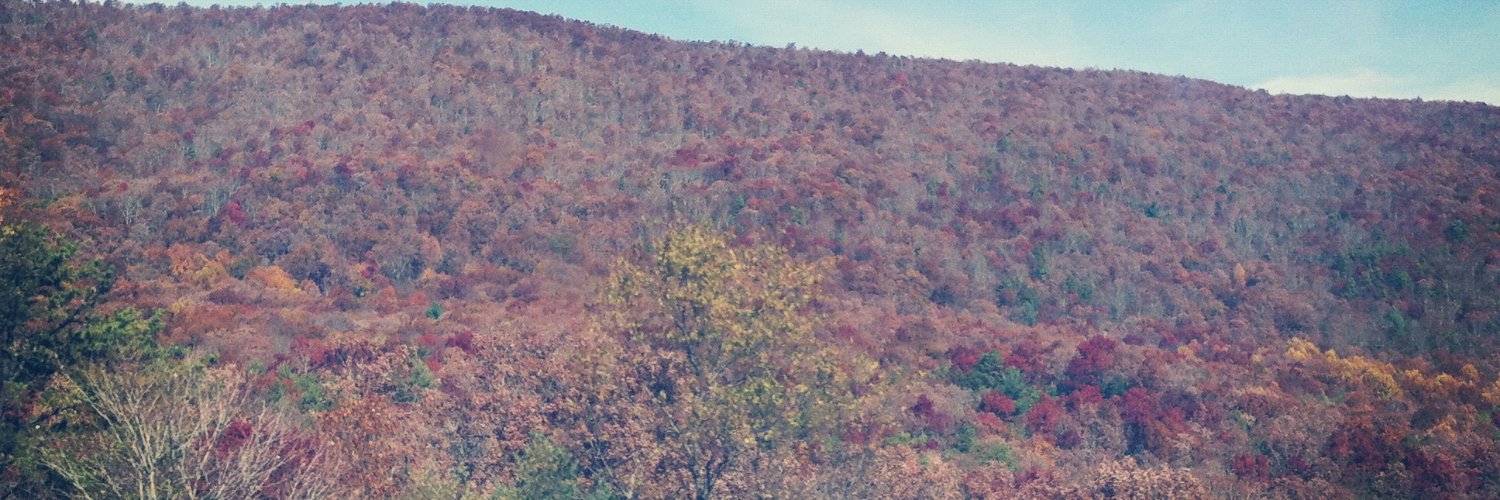 BobbiLifeInc's profile banner image