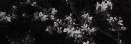 itsmiareset's profile banner image