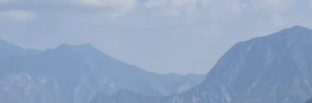 rominagust's profile banner image