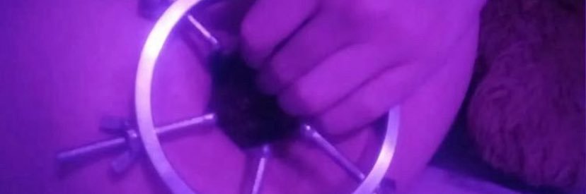 mossy🏳️‍⚧️ banner