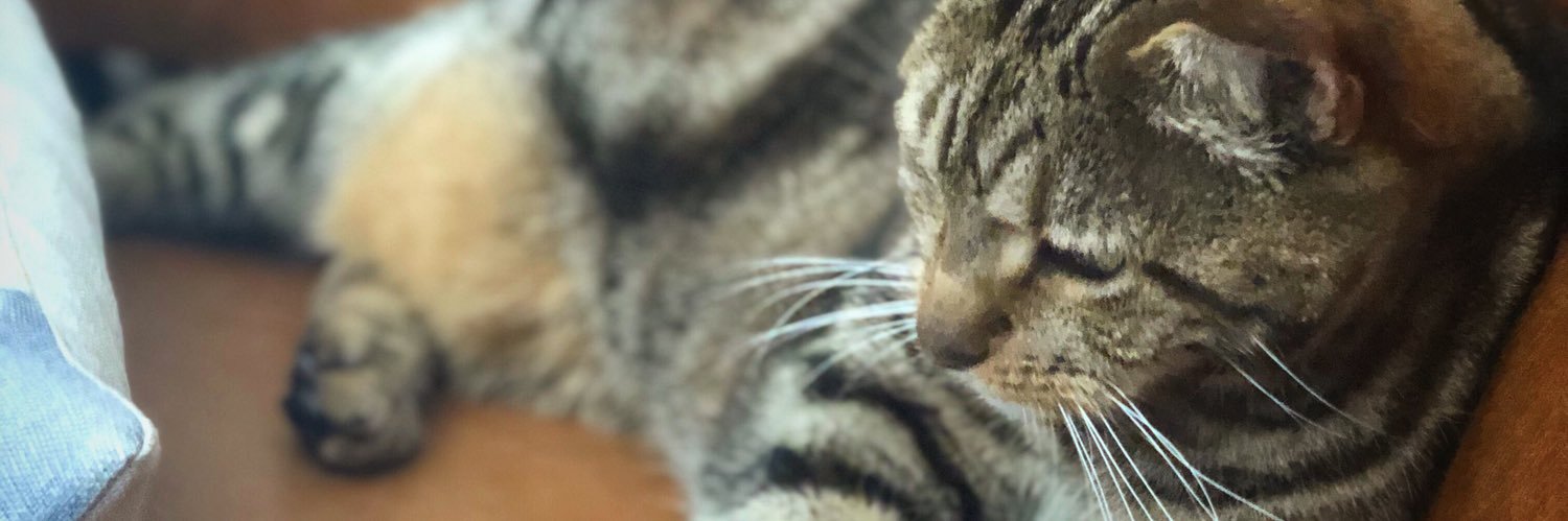 Renee Doegar (Cohn) banner