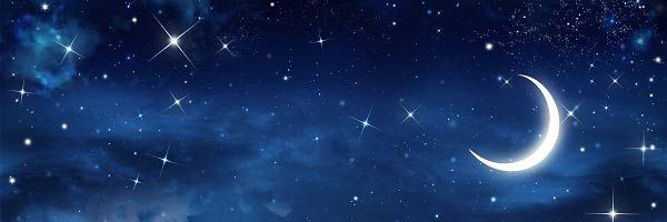 jngdkpeak Profile Banner