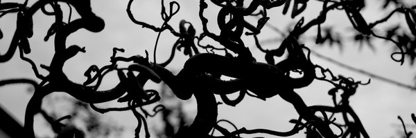 adriankirkby Profile Banner