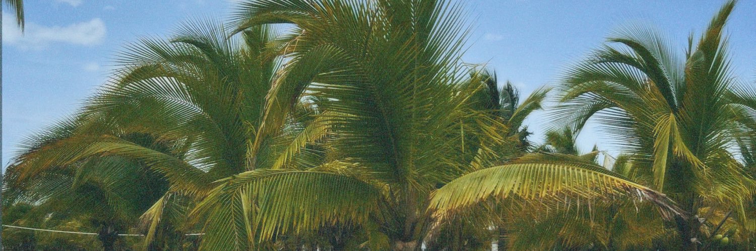 Rashida_DBrowne's profile banner image