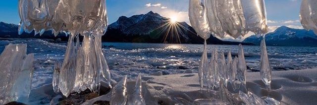 Michael Jones banner