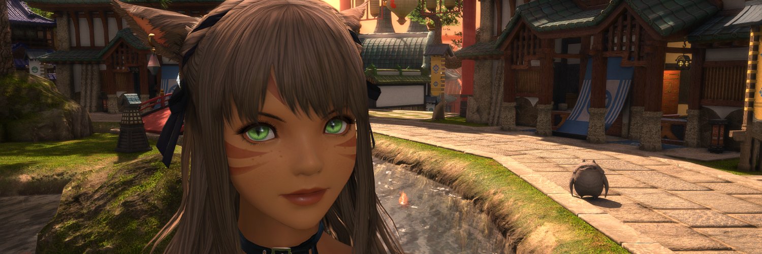 Zay_Metalcat's profile banner image