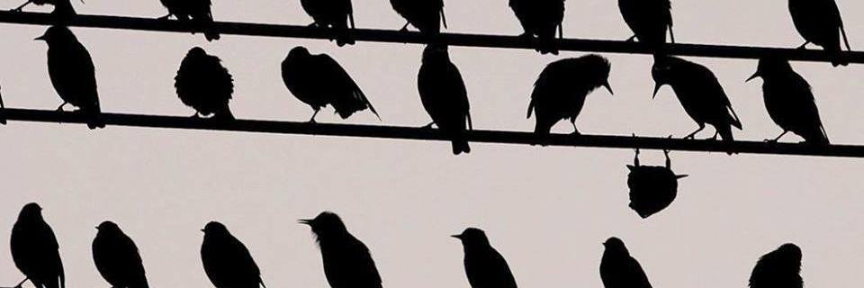 KimTag's profile banner image