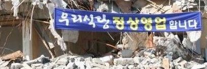철갑 벗은 소나무 banner