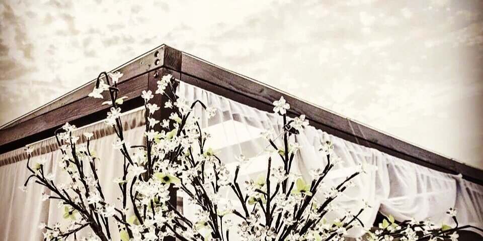 MintNYInc's profile banner image
