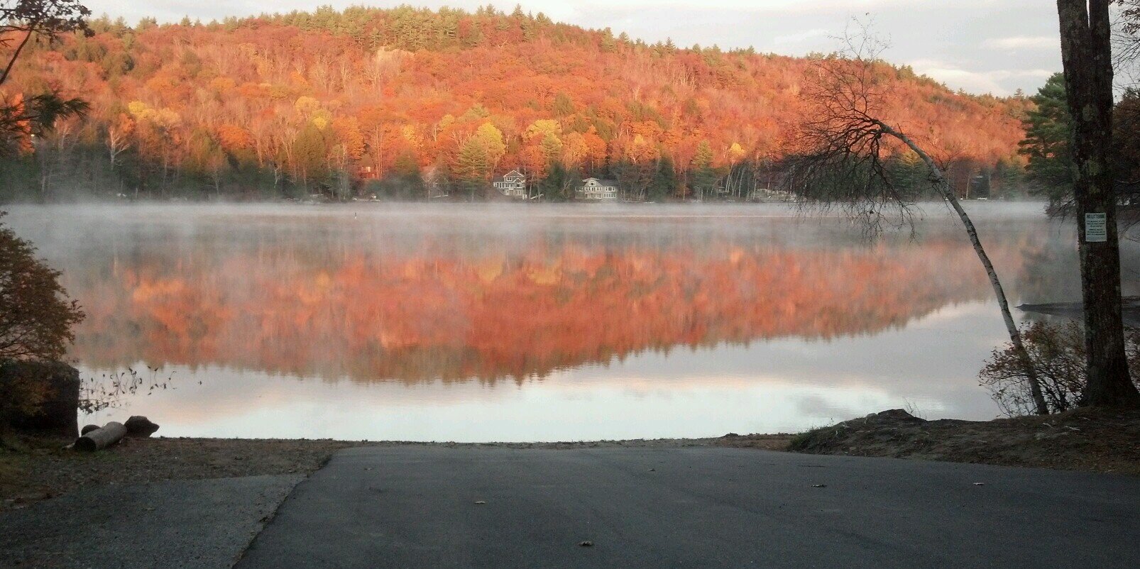 Senator Tim Lang banner
