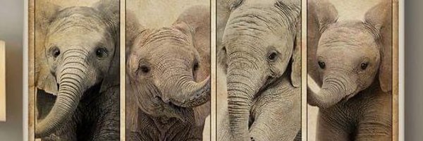 EllieBaby79 Profile Banner
