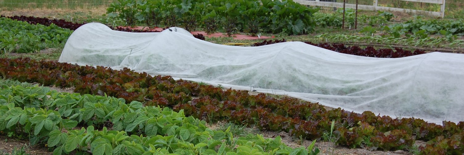 NaturalGardenCo's profile banner image