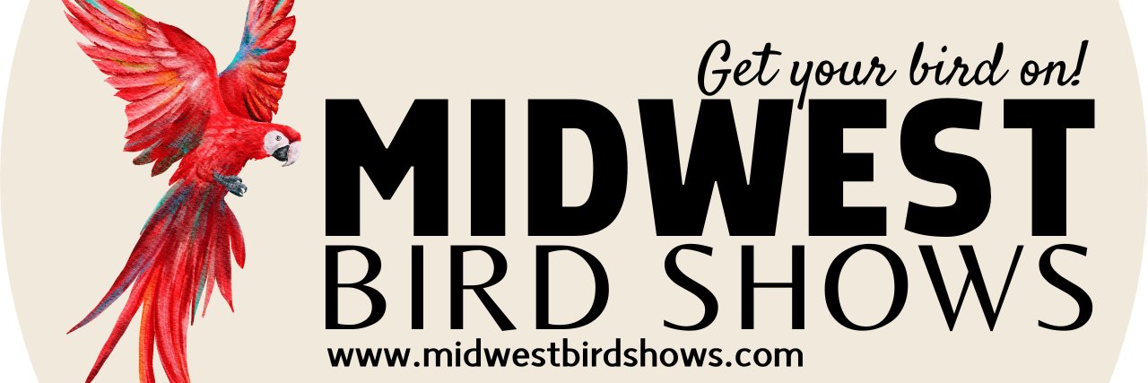 MWSHOWS's profile banner image