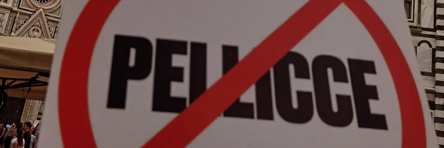 Bernini_P's profile banner image