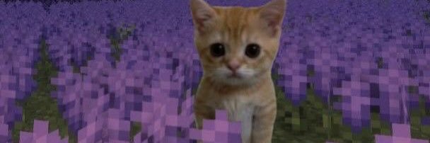 terpsnwubs's profile banner image