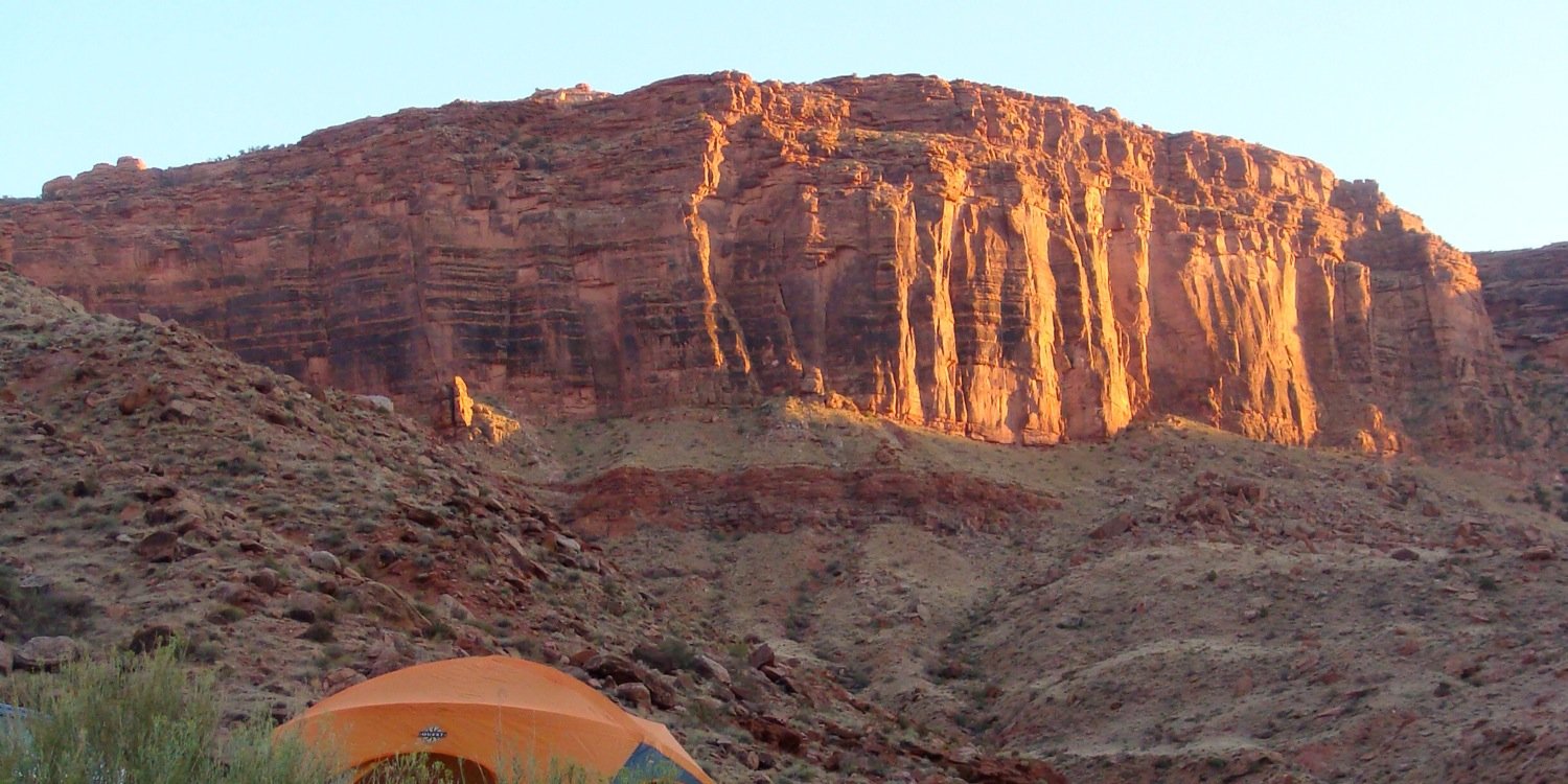 ChristineCaskey banner