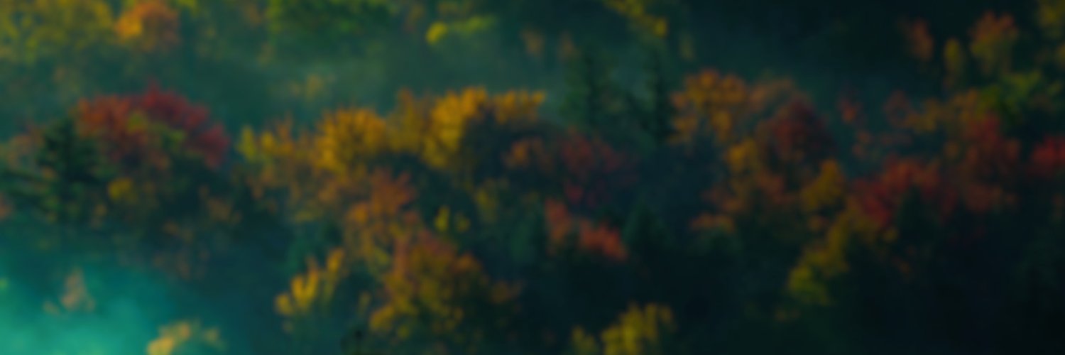 Lixhasfun's profile banner image