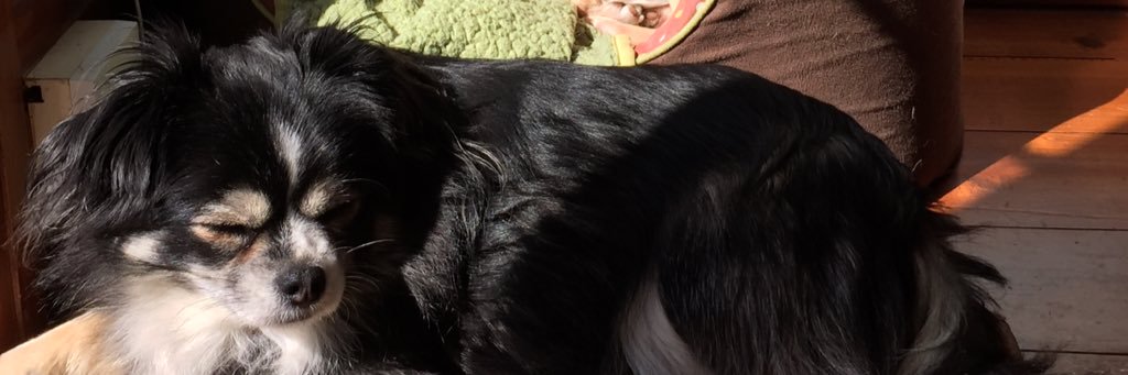 Gill106's profile banner image