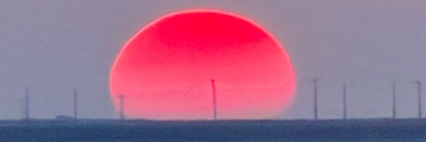 Botanist189 Profile Banner