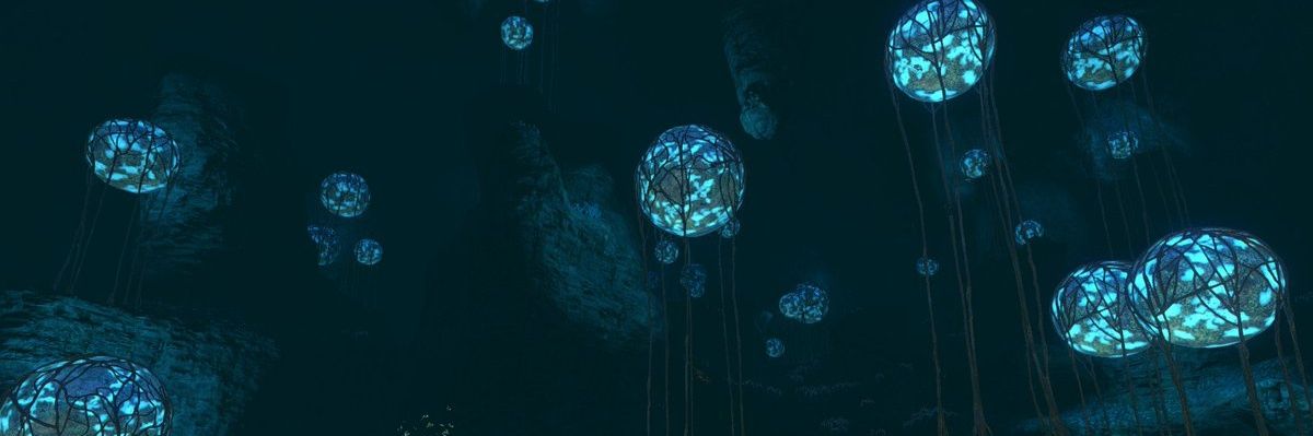 the noble crabsquid banner
