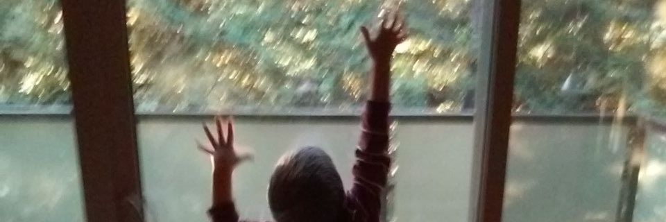 jimusser's profile banner image