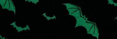 ezra banner