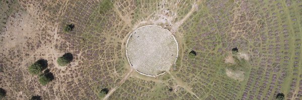 DaQuirm Profile Banner