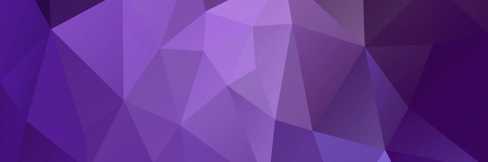 t r a c e y banner