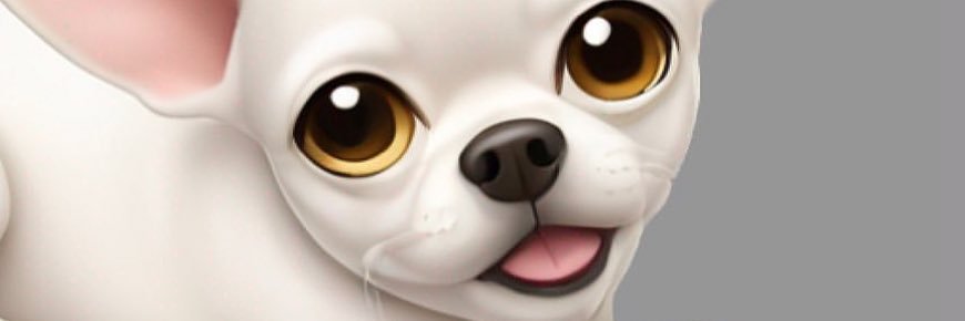 sun :3 banner
