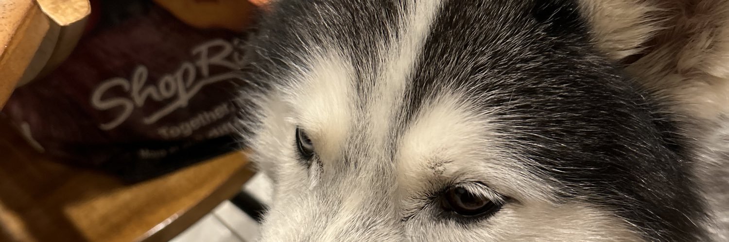 Dan banner