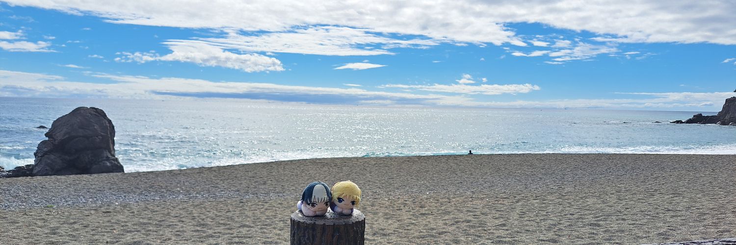 セナ🌺 banner