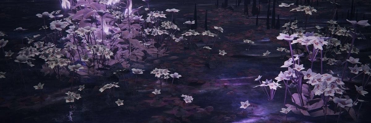 ruisveil's profile banner image