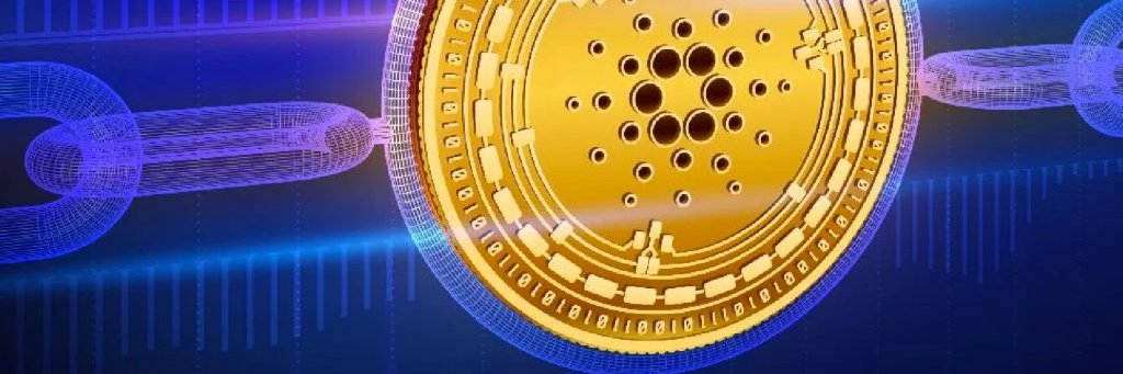 pakito_207's profile banner image
