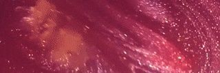 Ll_ringg's profile banner image