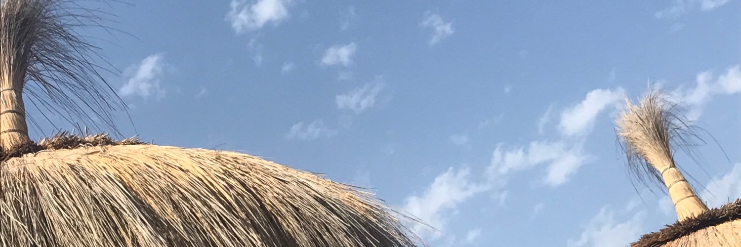 MNieves Ramirez banner