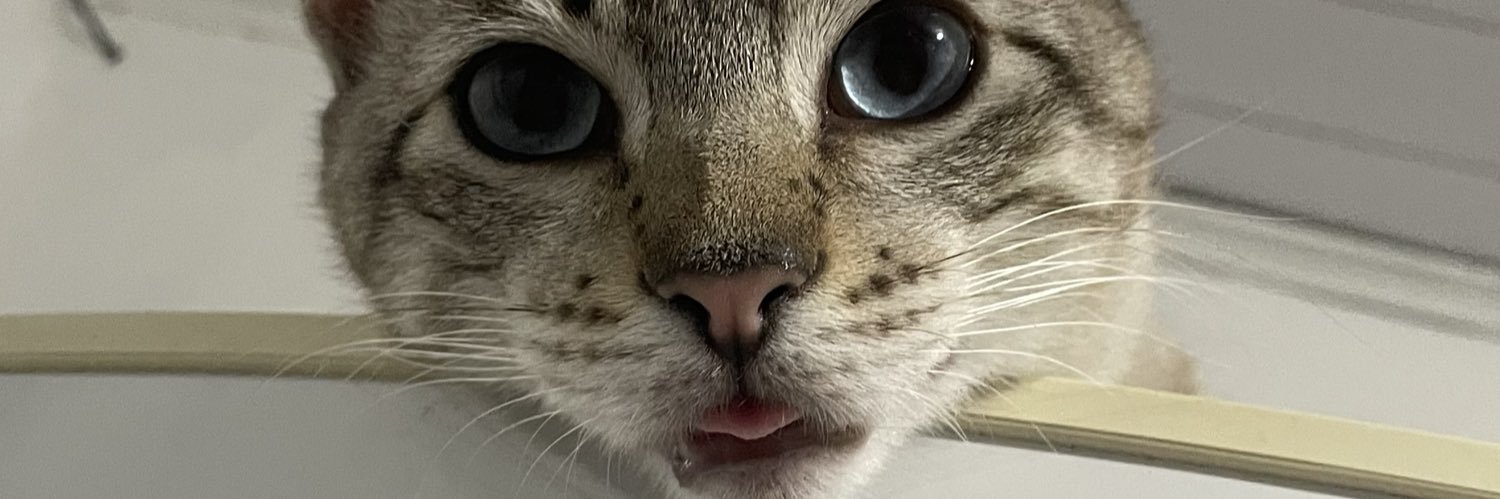 dy, occasionally banner