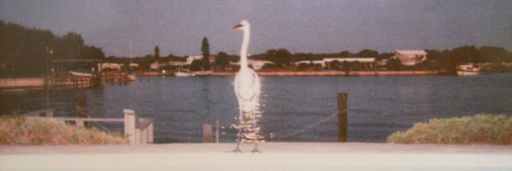 rabumgardner's profile banner image