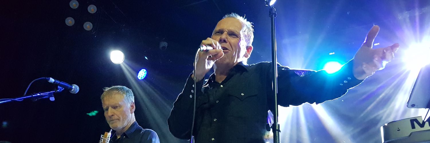 String Bean Jen banner