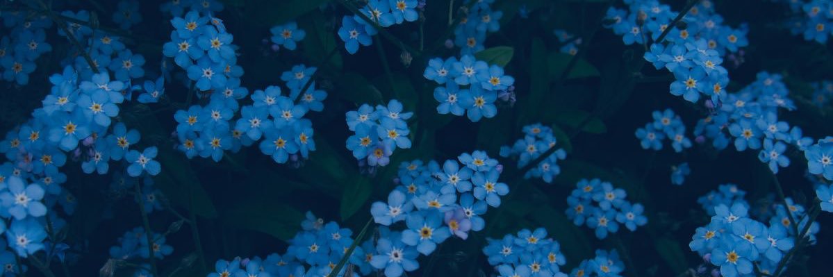 blu banner