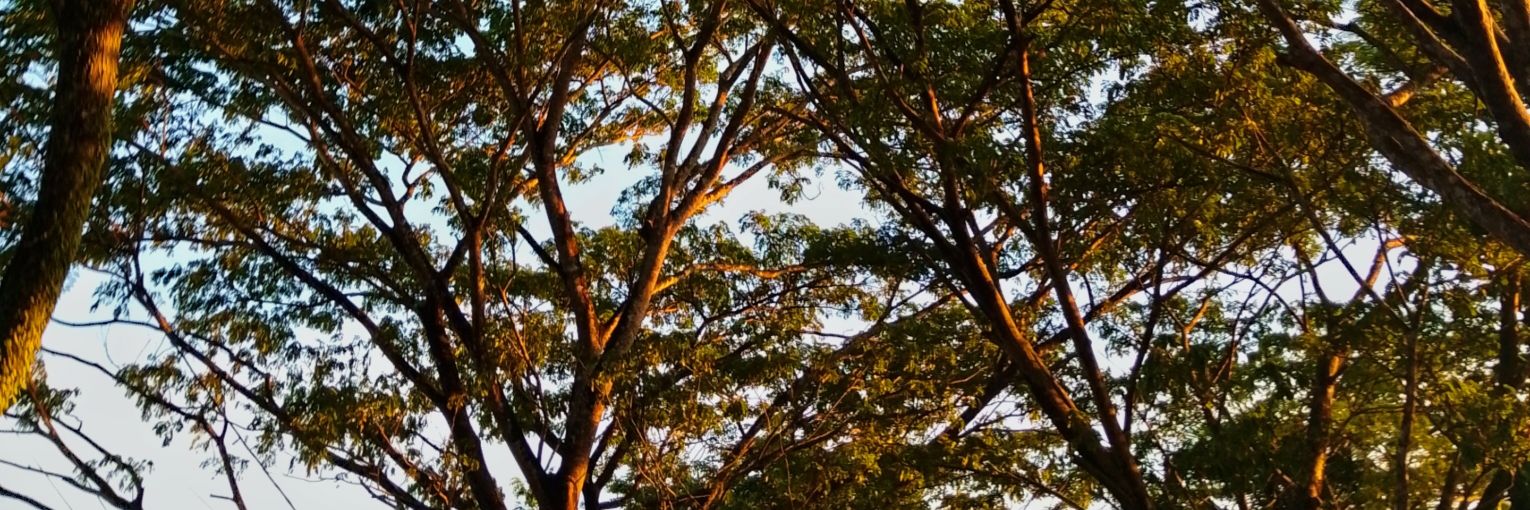 7th year: 𖹭𝗿𝗮𝗮^᪲᪲᪲✰ banner