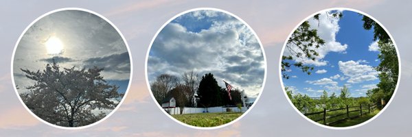 Weather Chronicles: Storytellers of the Sky Profile Banner