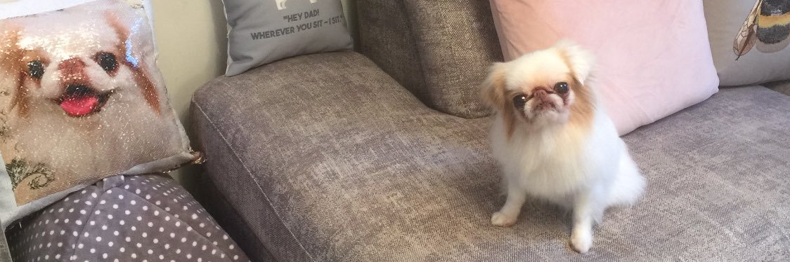 Mr_Mustard banner