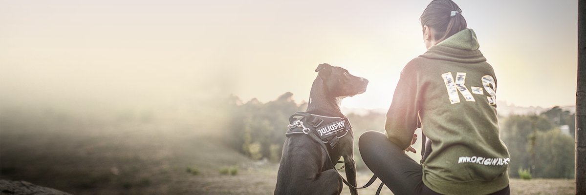 JuliusK9es's profile banner image